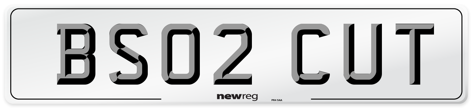 BS02 CUT Number Plate from New Reg